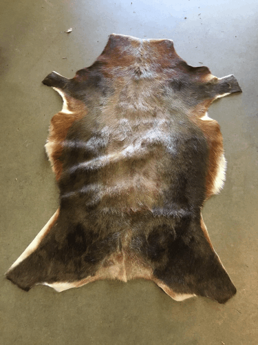 Specialty Skin - South African Blesbok (Natural)