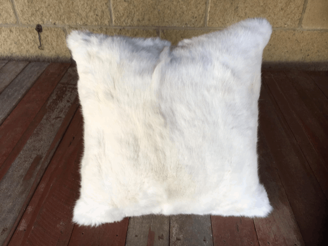 Specialty Skin - Rabbit Cushion Cover