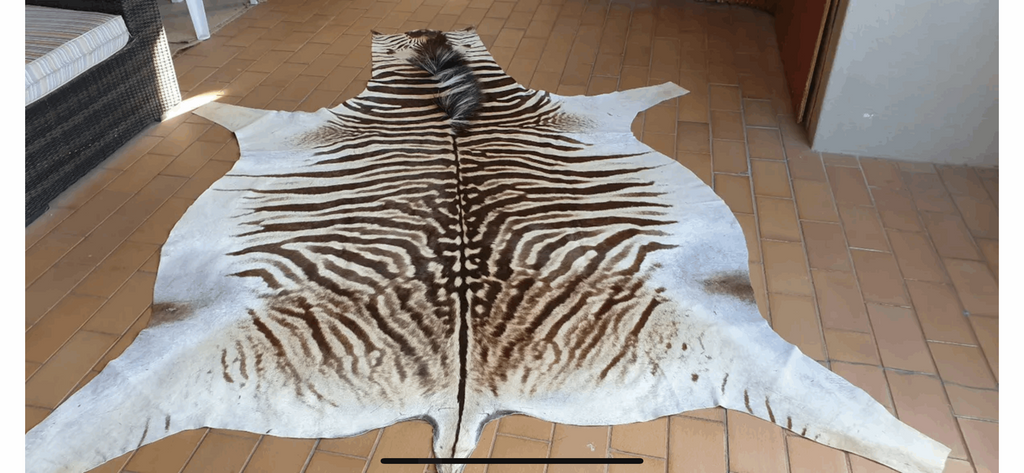 Specialty Skin - South African Zebra Skin (Real)