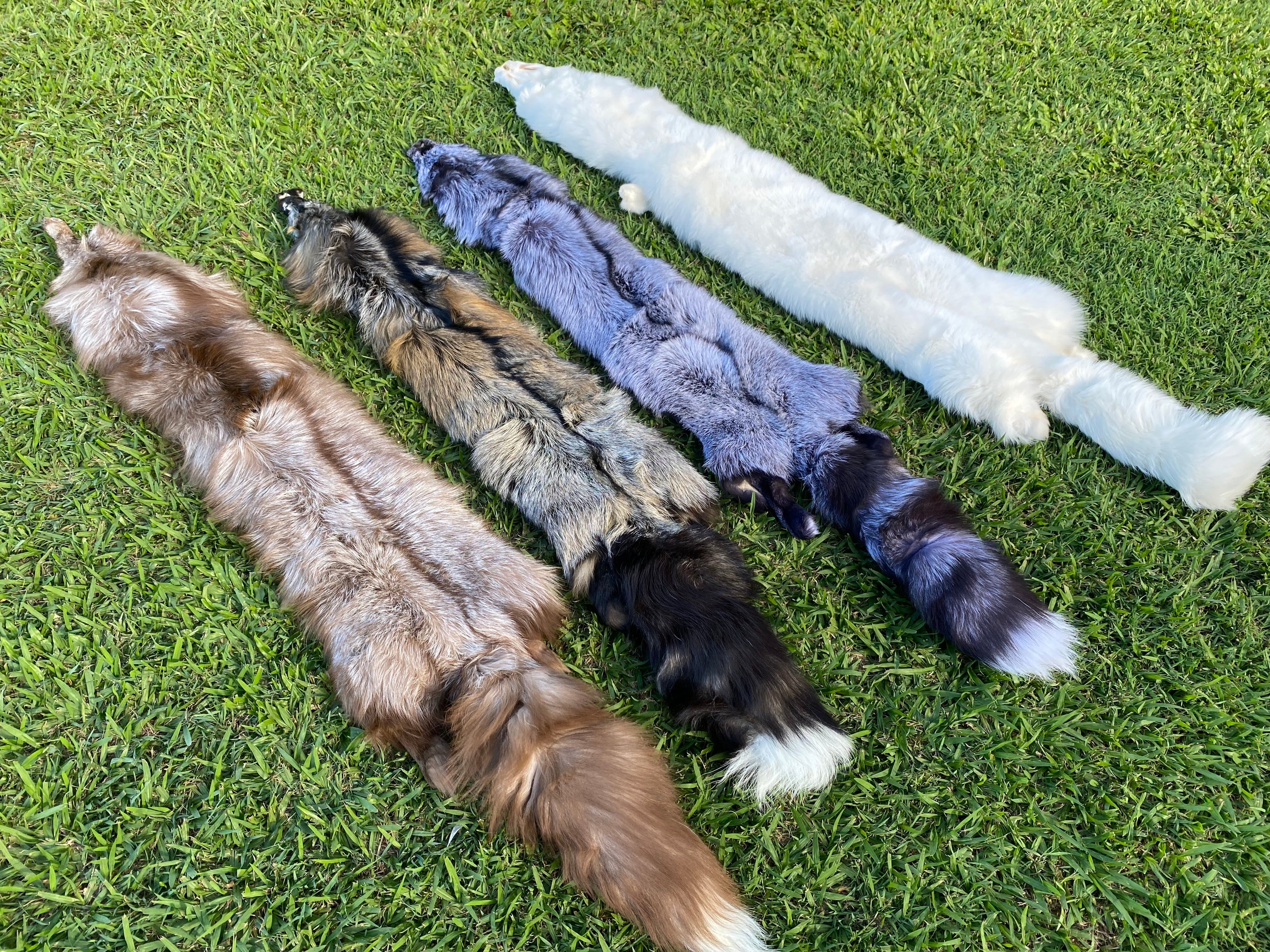 Animal Pelts