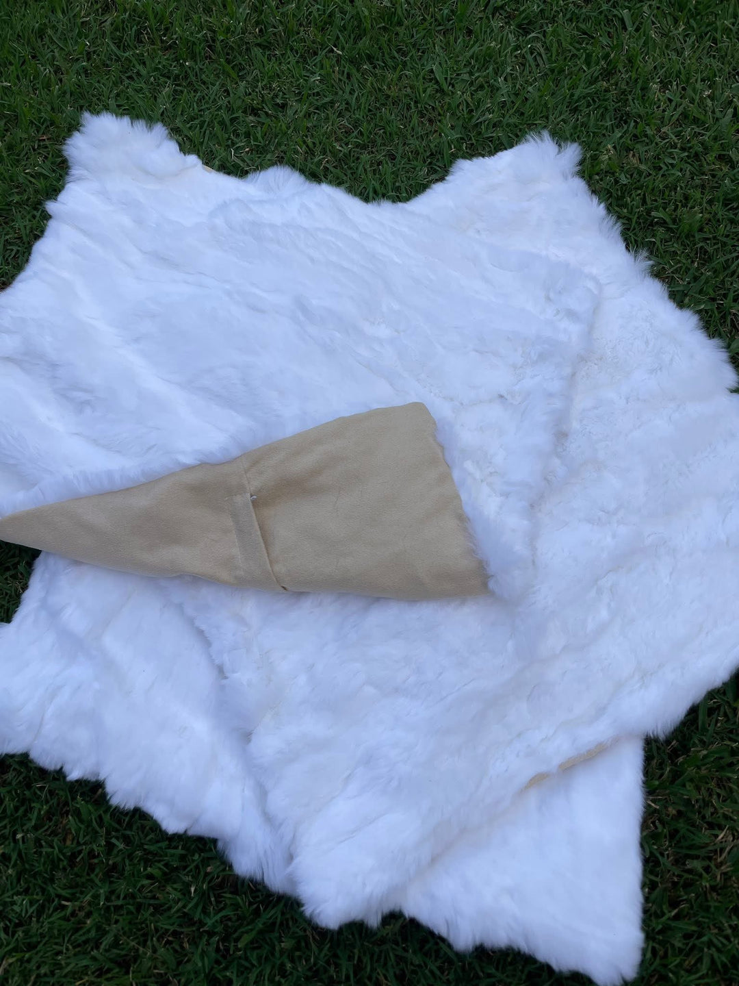 Cushion Covers