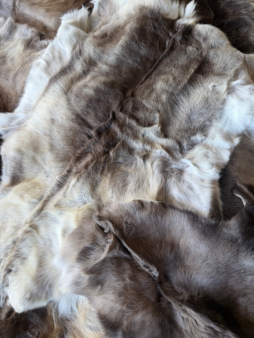 Reindeer Skins