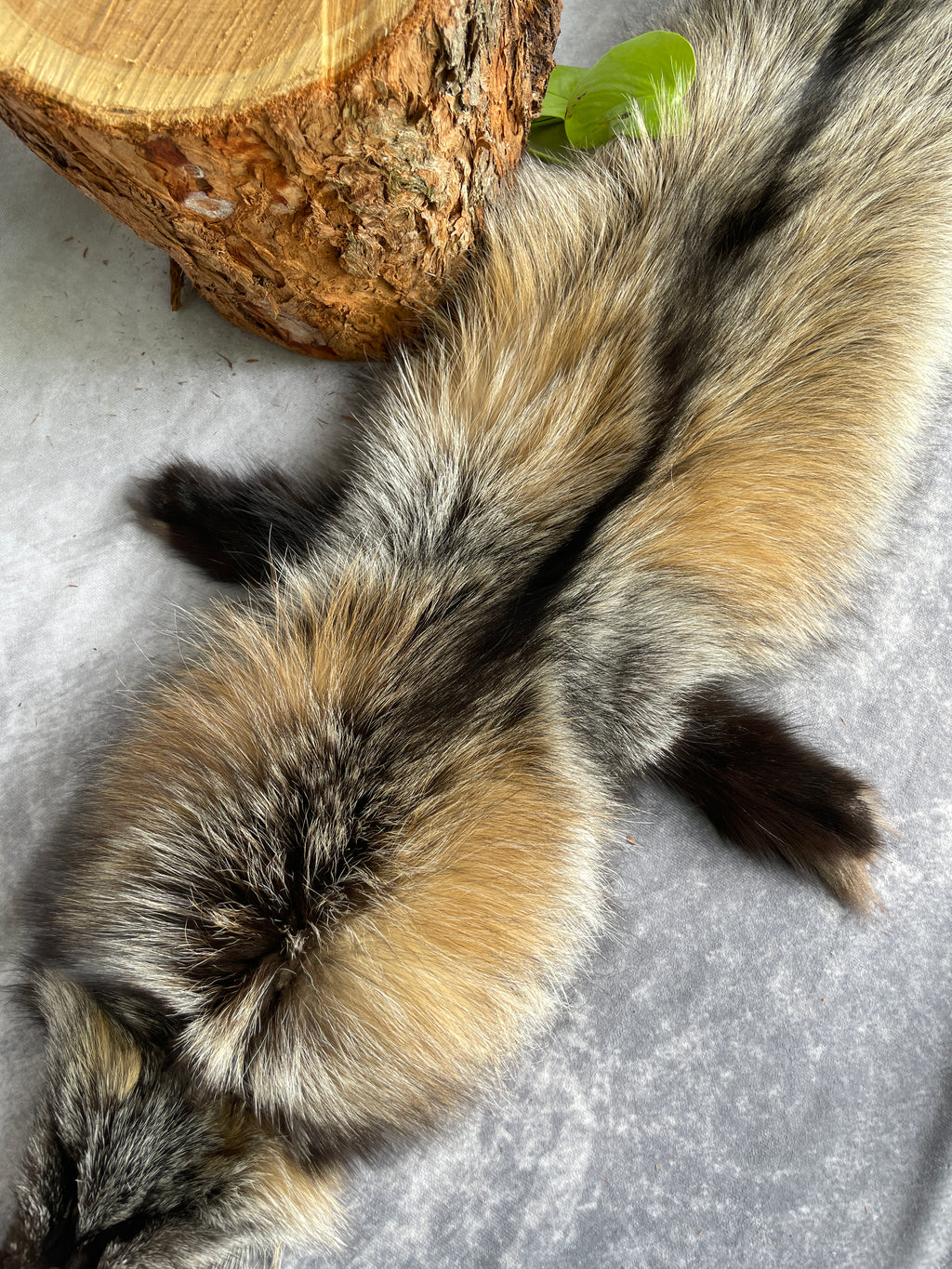 Specialty Skin - Fox Skins