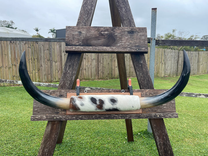 Mounted Cow Horns 02 (delivery extra on request)