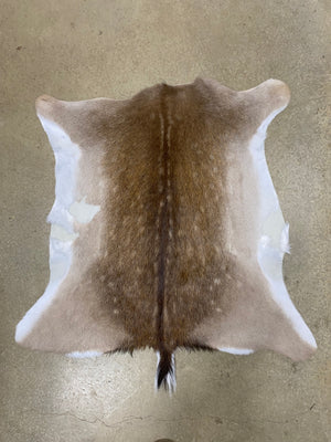 Specialty Skin - Fallow Deerskin