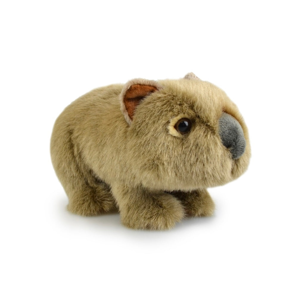 Toys - Soft Plush Animals