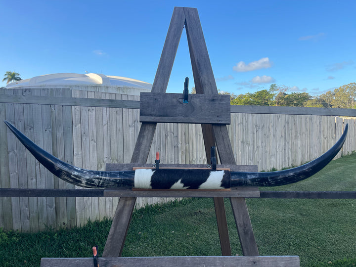 Mounted Cow Horns 14 (delivery extra on request)