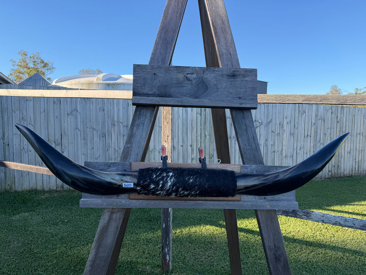 Mounted Cow Horns 31 (delivery extra on request)