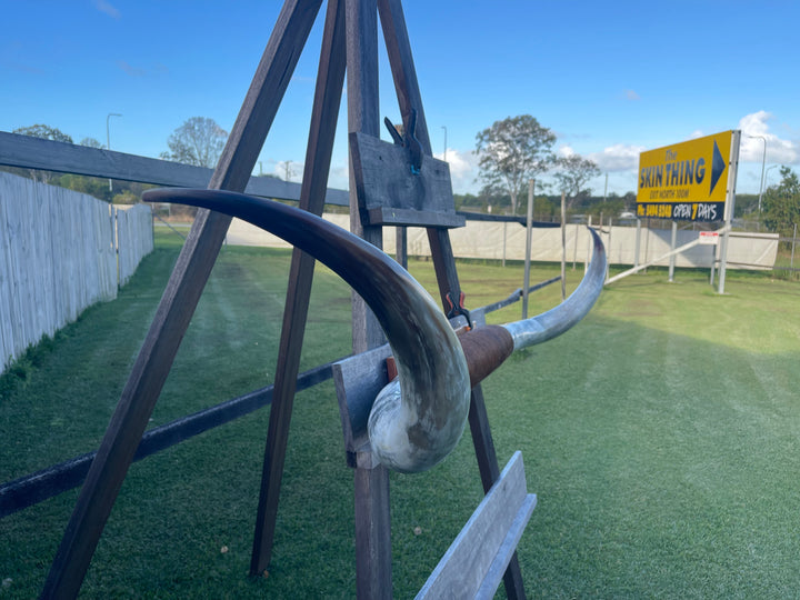 Mounted Cow Horns 46 (delivery extra on request)