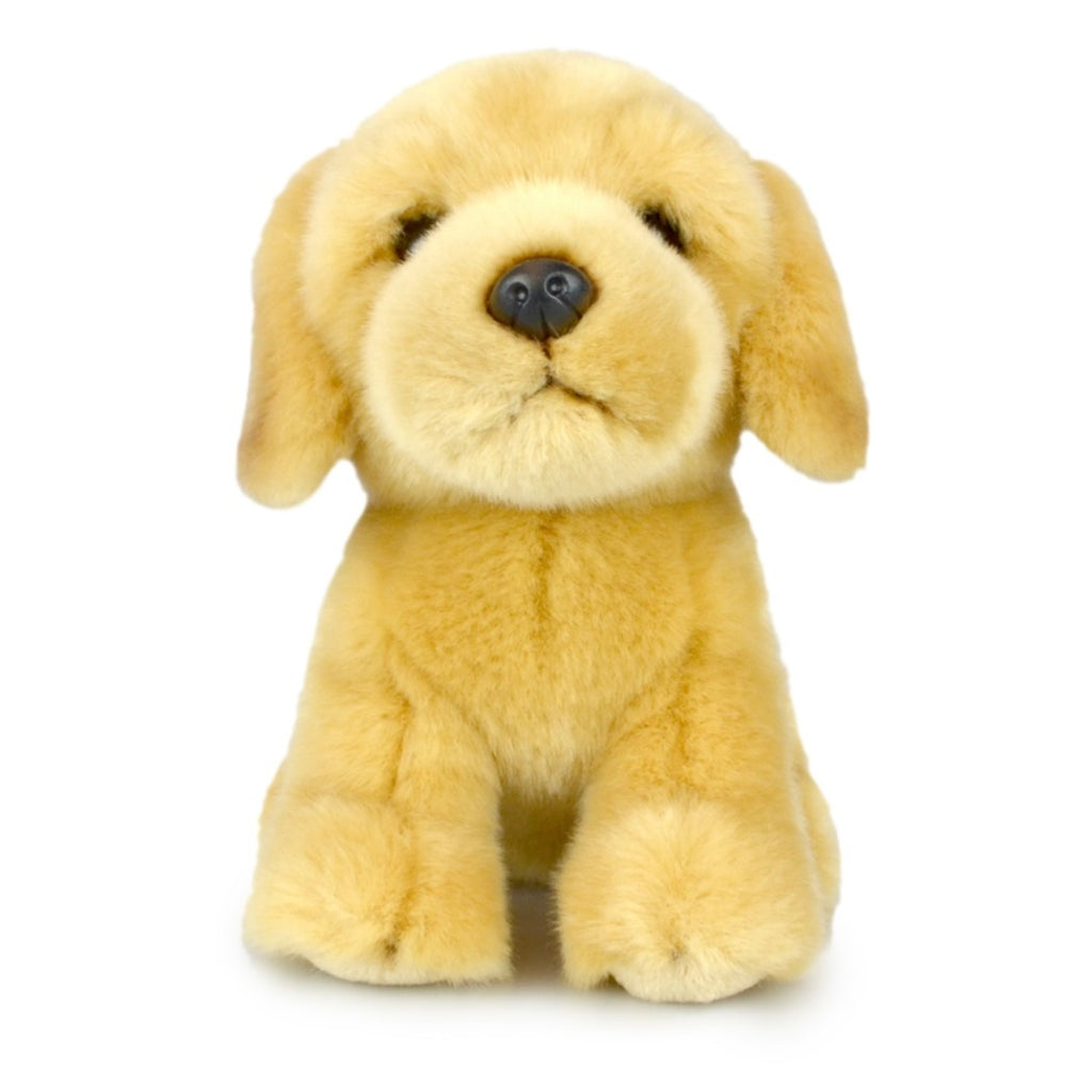 Toys - Soft Plush Animals
