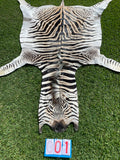 Specialty Skin - South African Zebra Skin (Real)