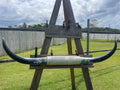Mounted Cow Horns 48 (delivery extra on request)