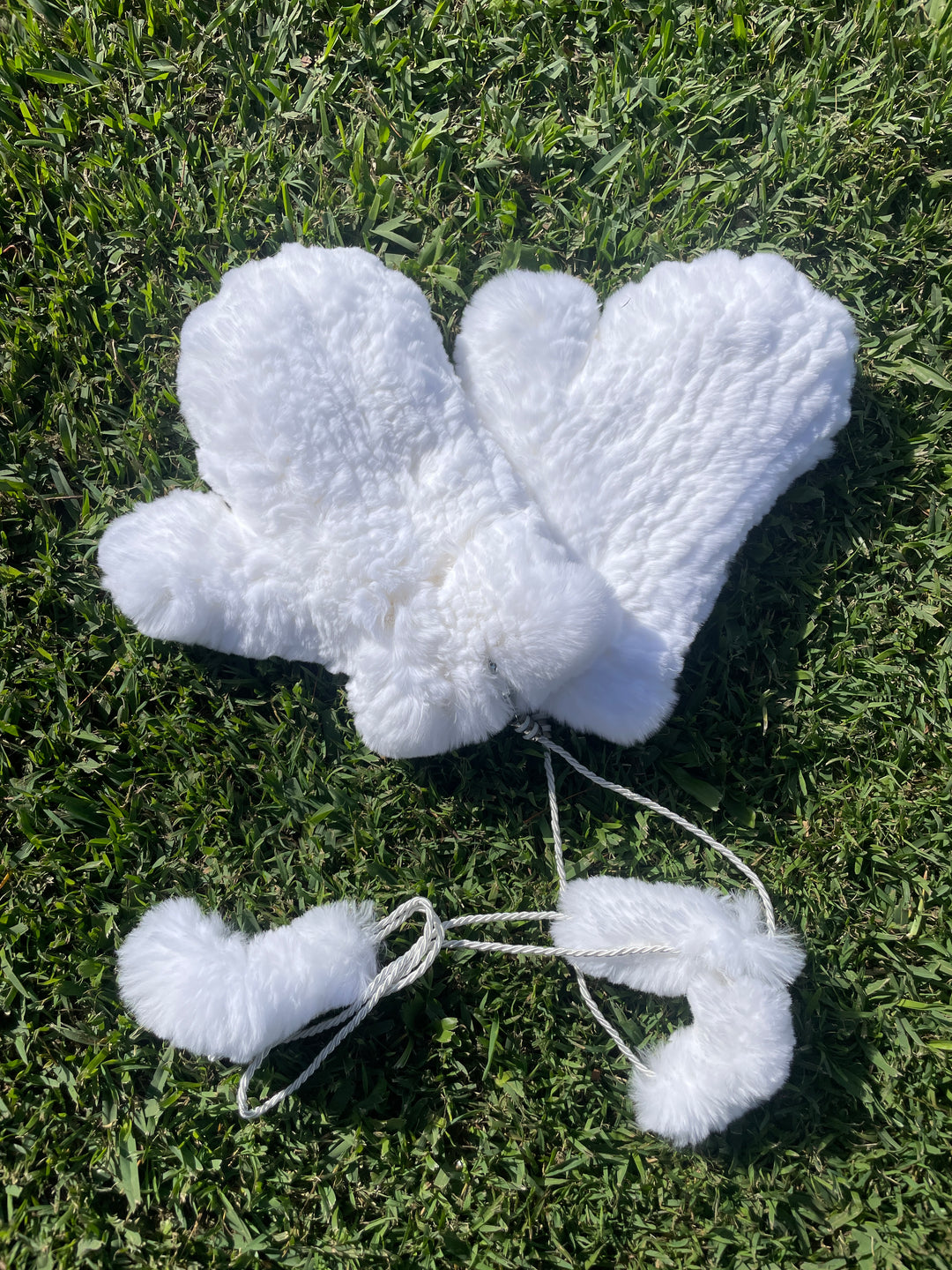 Mittens - Rex Rabbit