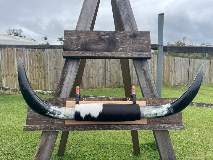 Mounted Cow Horns 06 (delivery extra on request)