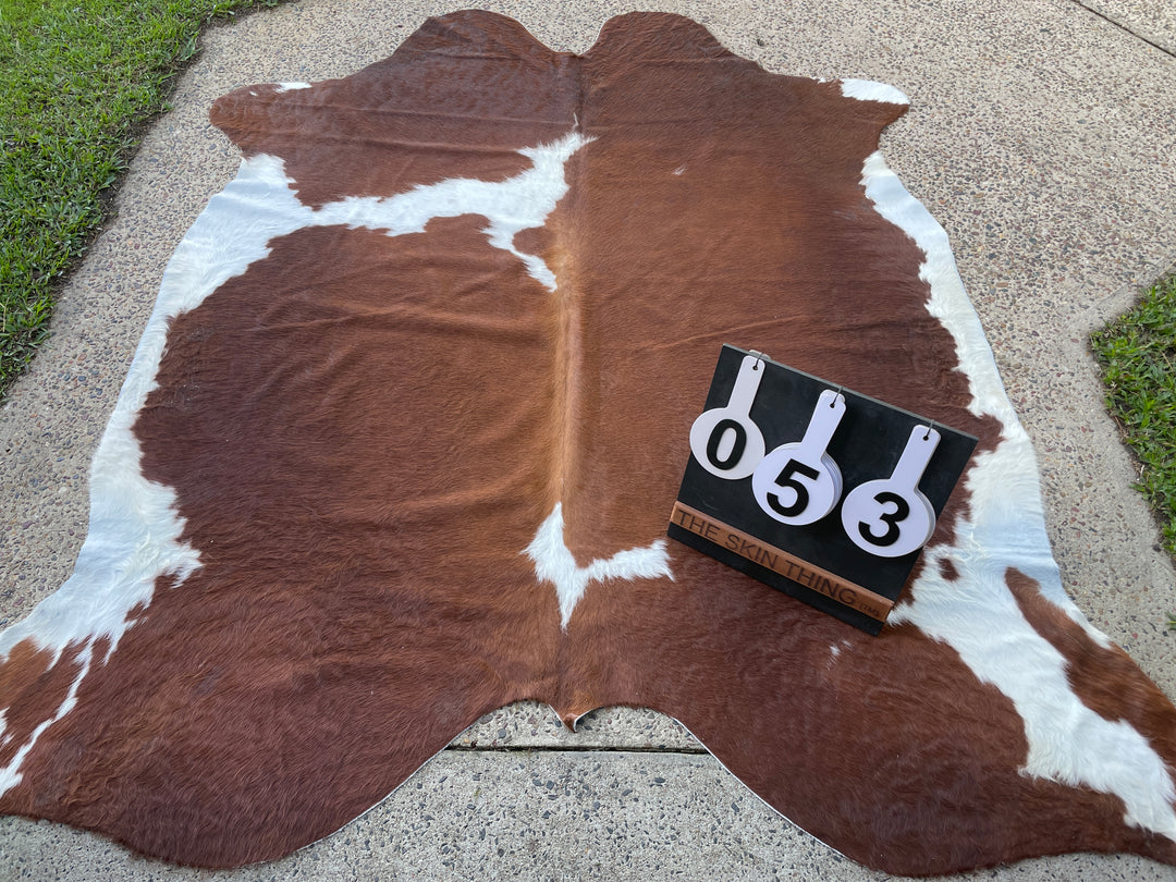 Brown &amp; White - 053