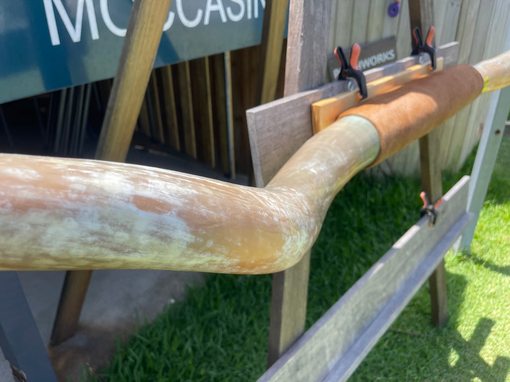 Mounted Cow Horns 35 (delivery extra on request)