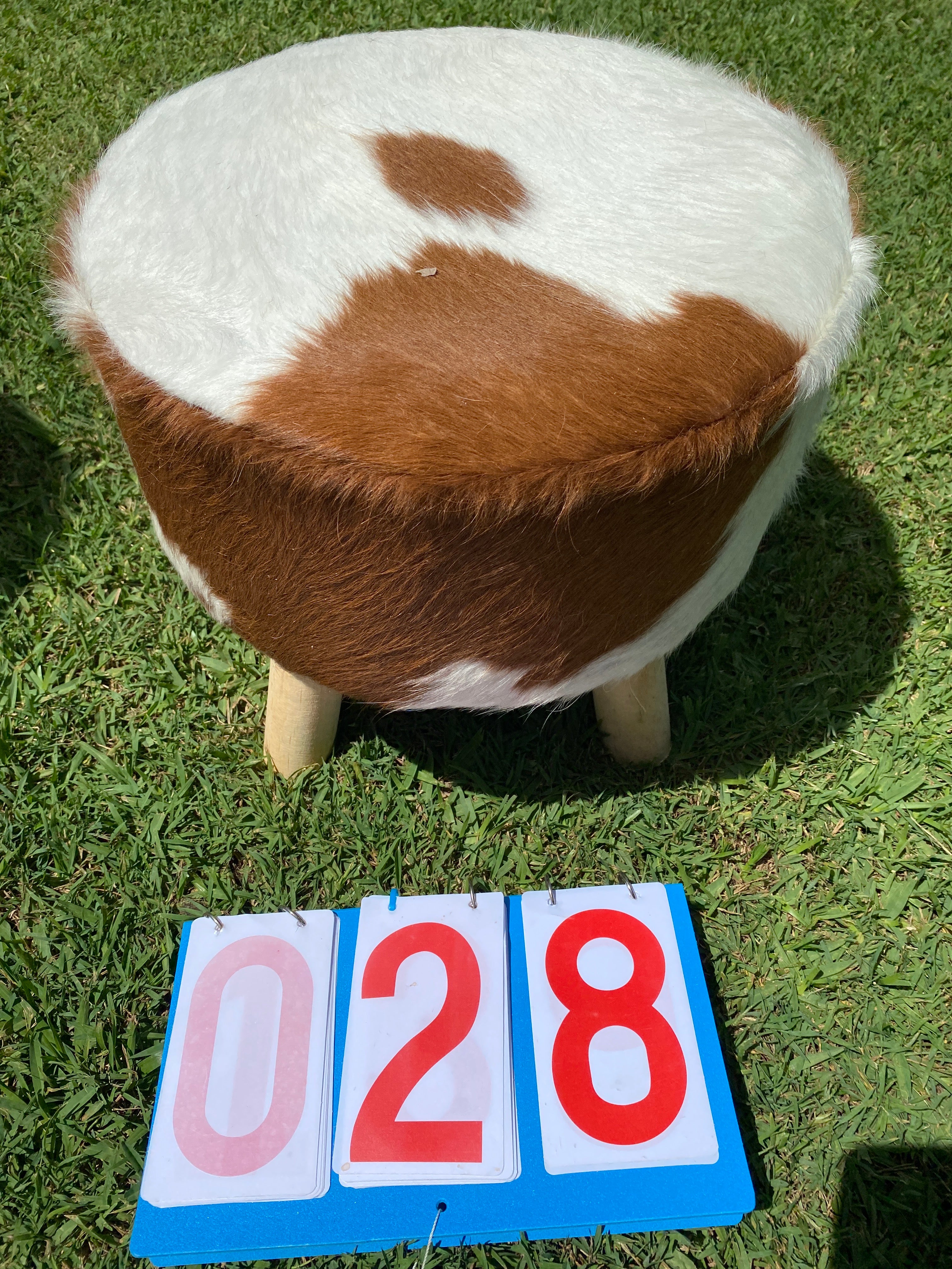Cowhide Footstools