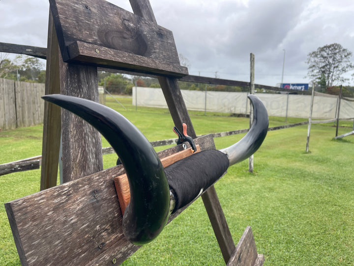 Mounted Cow Horns 05 (delivery extra on request)
