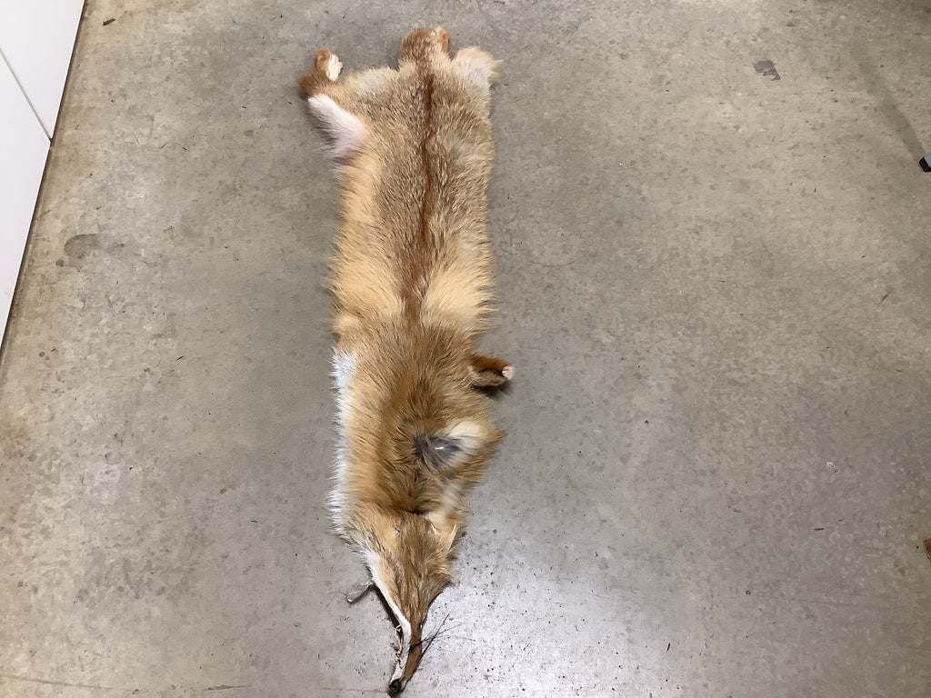 Specialty Skin - Fox Skins