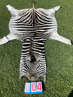 Specialty Skin - South African Zebra Skin (Real)