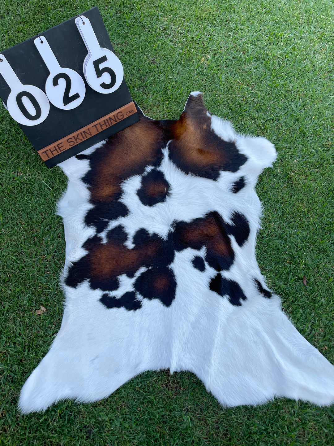 Cowhide - Calf Skins