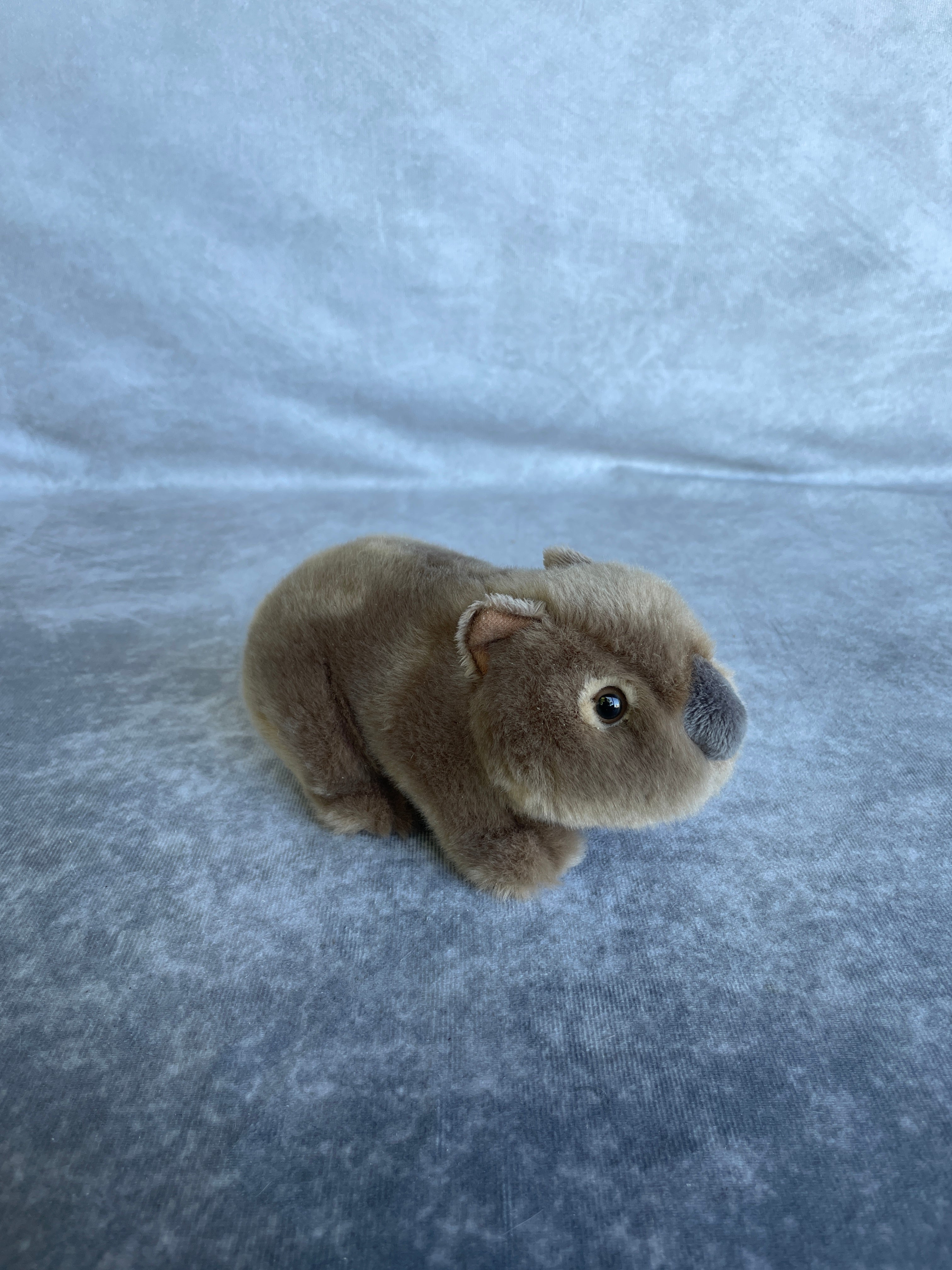 Toys - Soft Plush Animals