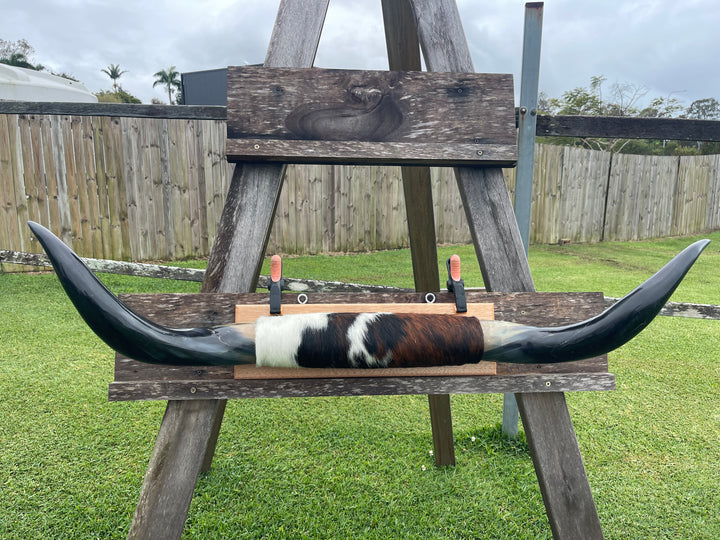 Mounted Cow Horns 07 (delivery extra on request)