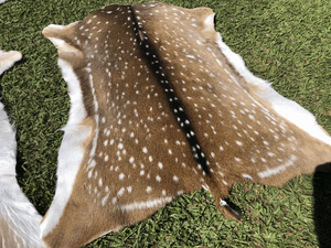 Deerskin - Queensland Chital and Fallow