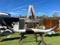 Mounted Cow Horns 02 (delivery extra on request)