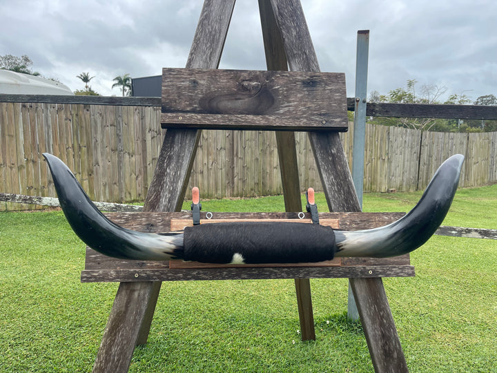 Mounted Cow Horns 05 (delivery extra on request)