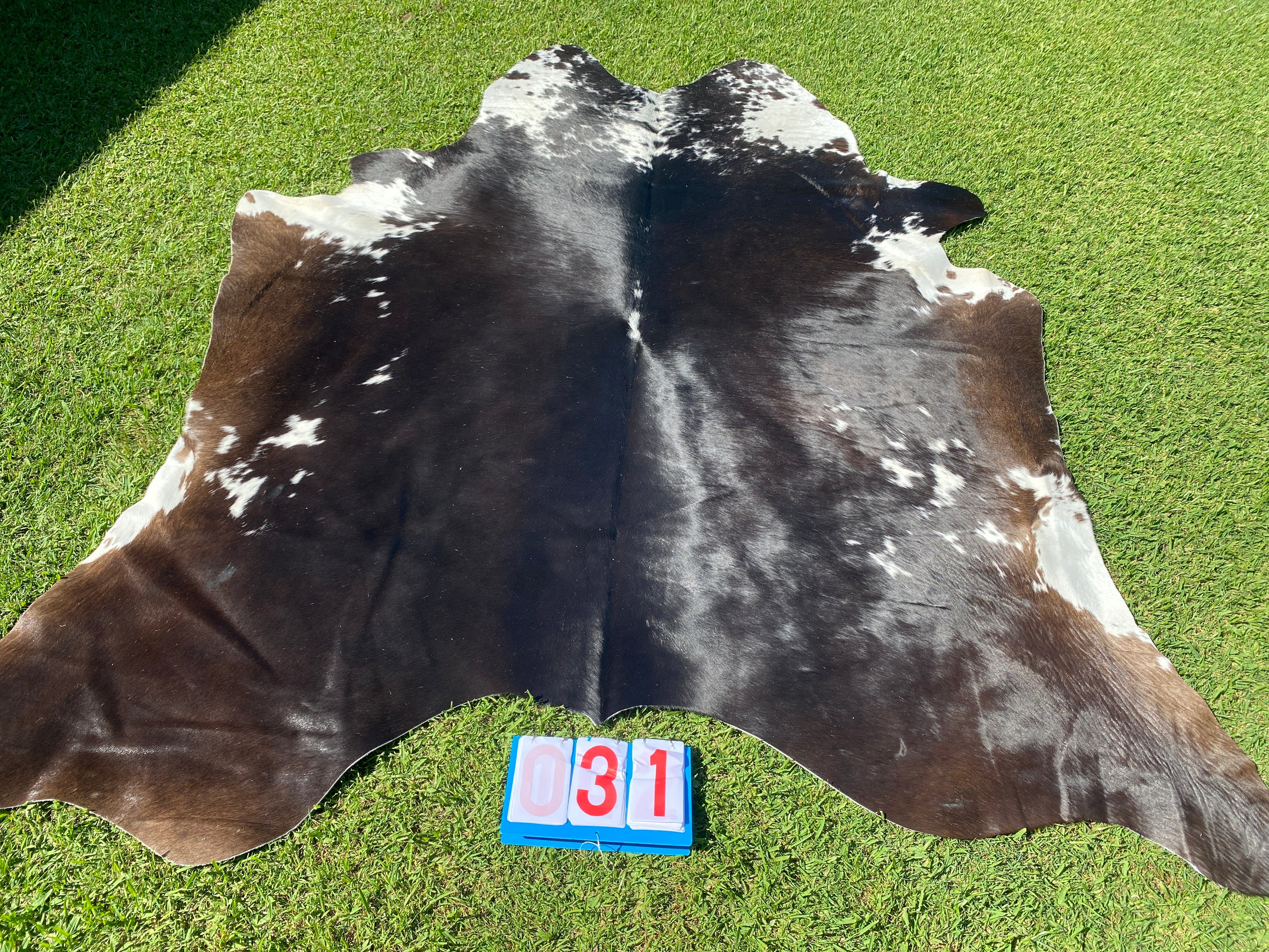 Cowhide 31 Black, Chocolate and White
