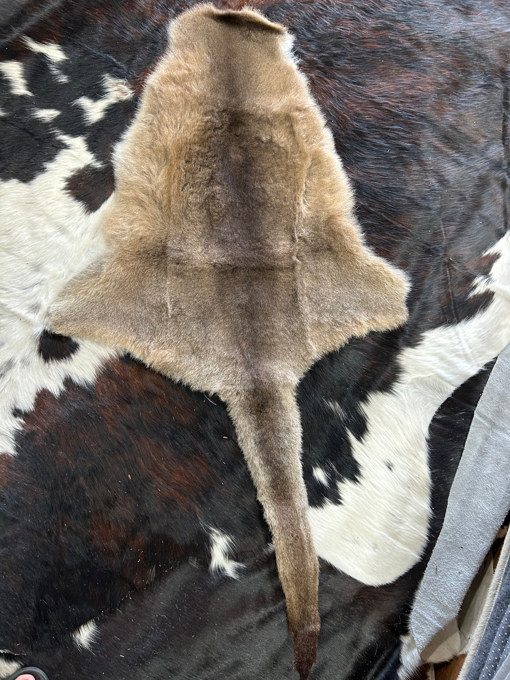 Specialty Skin - Kangaroo