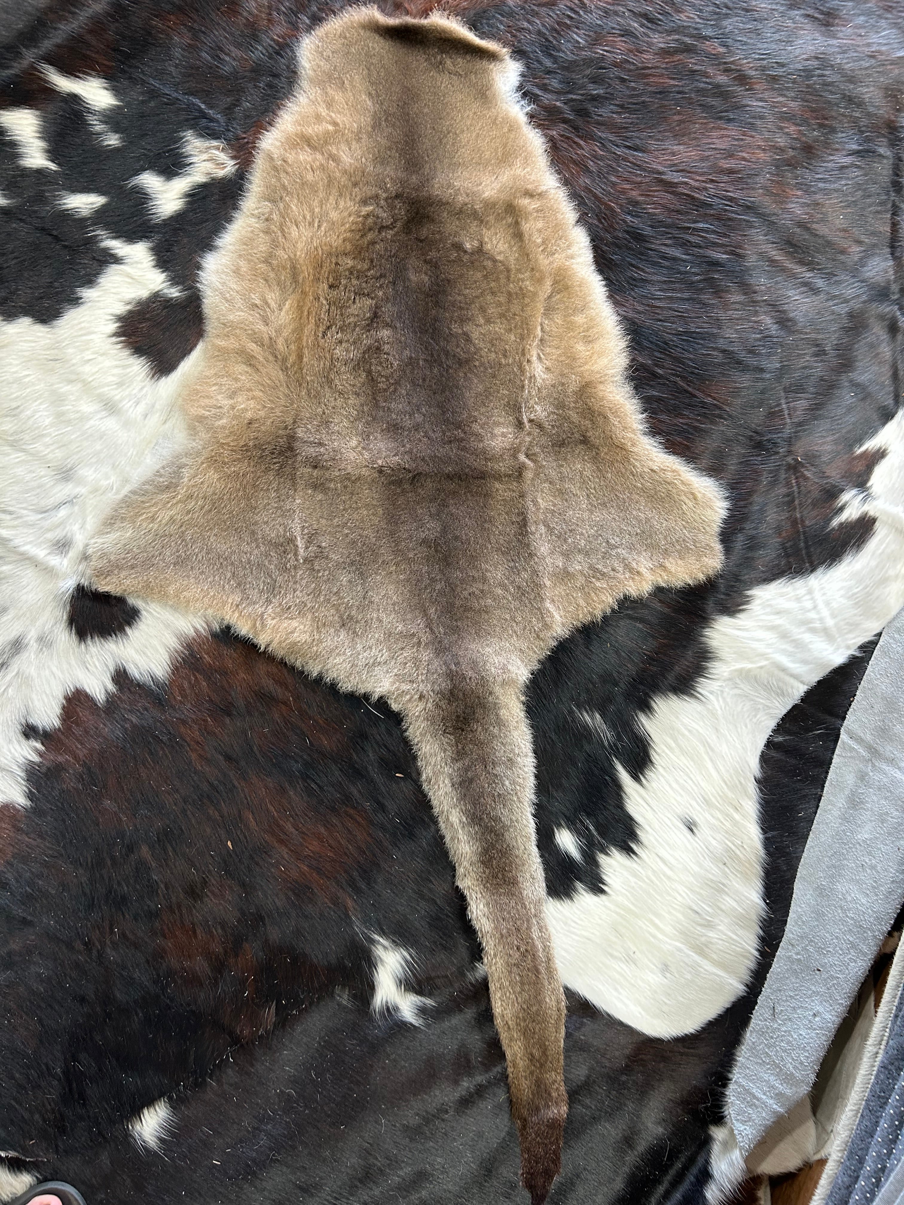 Specialty Skin - Kangaroo