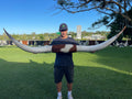 Mounted Cow Horns 52 (this set free delivery,can be dismantled )