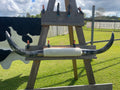 Mounted Cow Horns 26 (delivery extra on request)