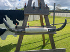 Mounted Cow Horns 26 (delivery extra on request)