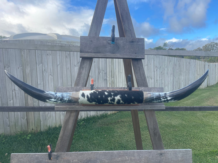 Mounted Cow Horns 01 (delivery extra on request)