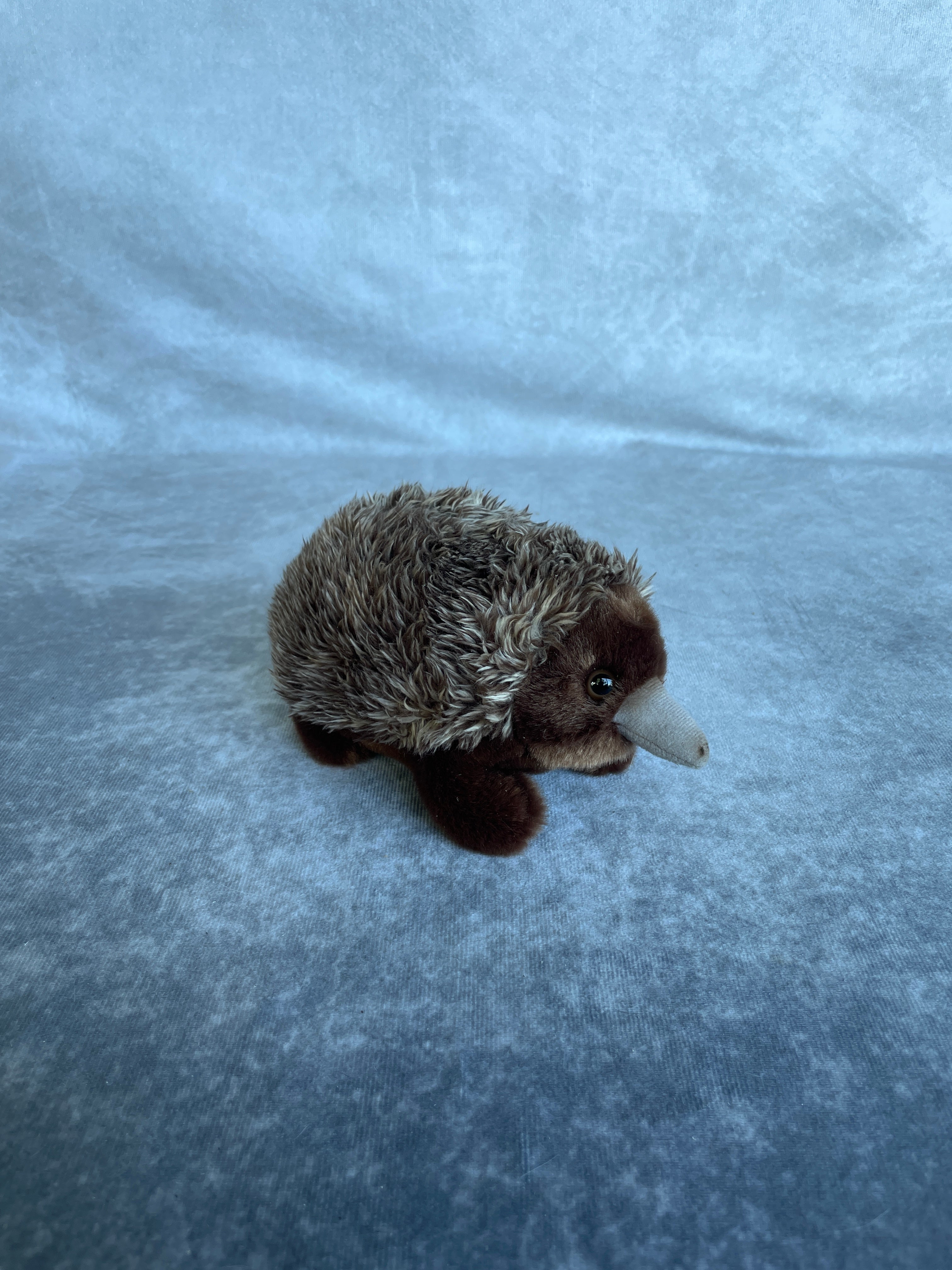 Toys - Soft Plush Animals