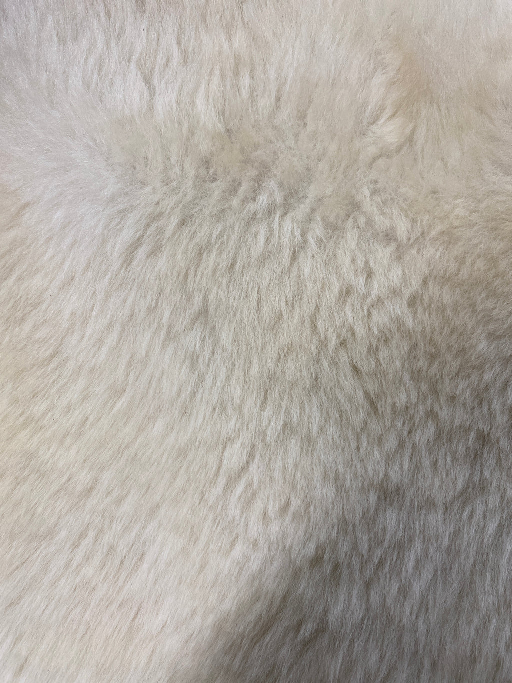 Clothing - Bomber Jacket