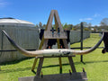 Mounted Cow Horns 37 (delivery extra on request)