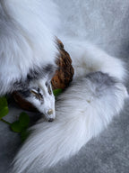 Specialty Skin - Fox Skins