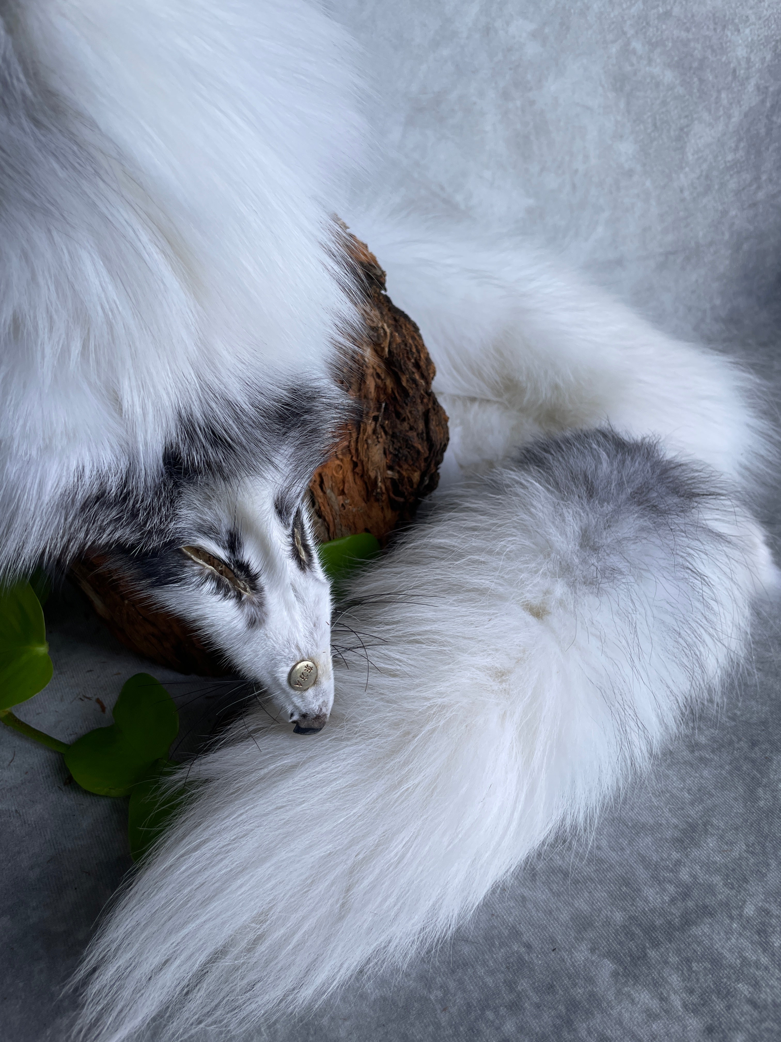 Specialty Skin - Fox Skins