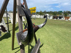 Mounted Cow Horns 20 (delivery extra on request )