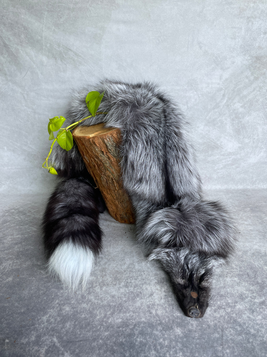 Specialty Skin - Fox Skins