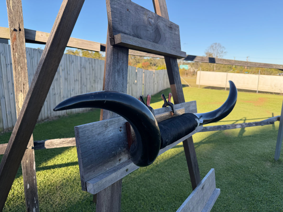 Mounted Cow Horns 28 (delivery extra on request)