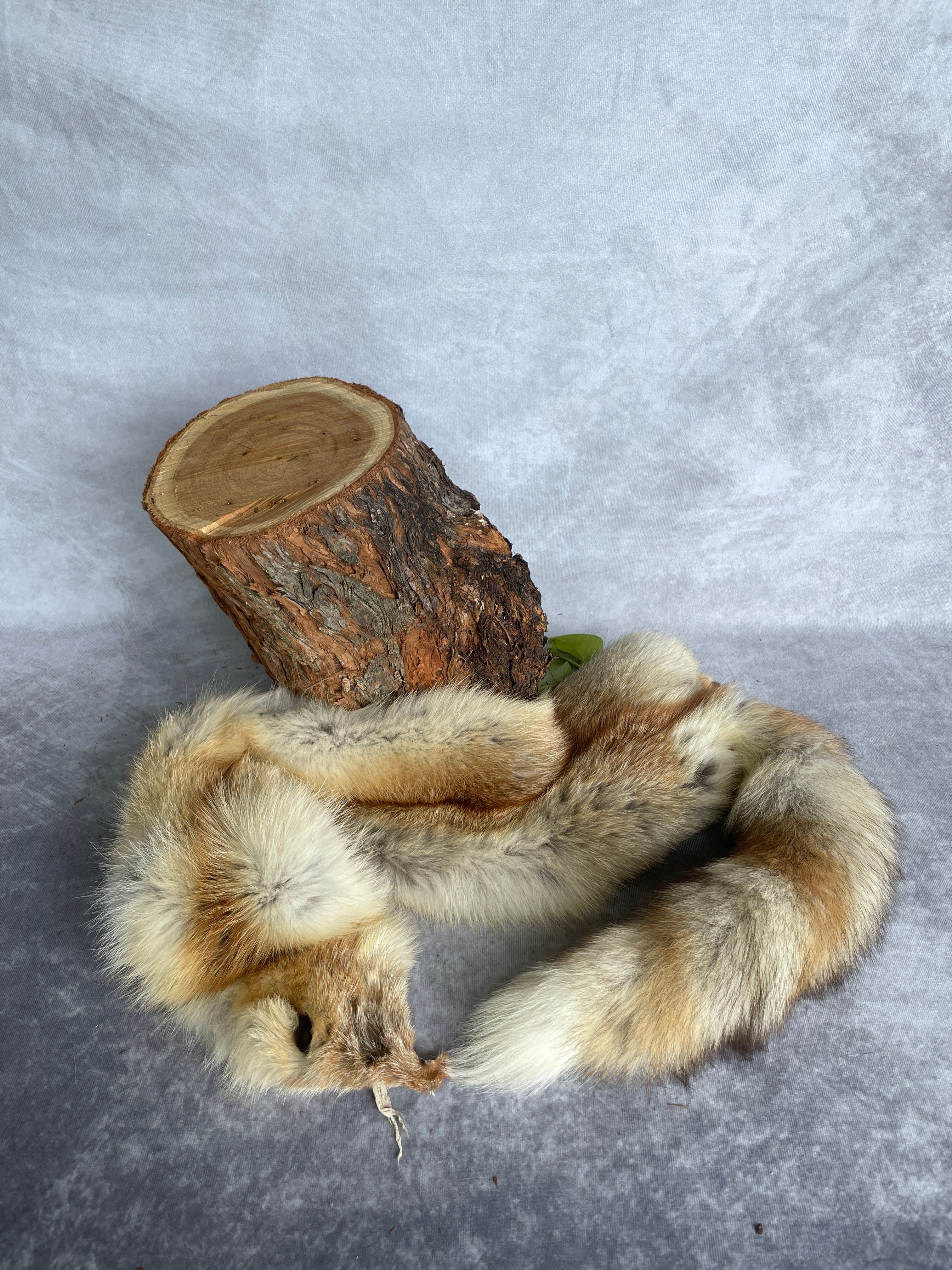 Specialty Skin - Fox Skins