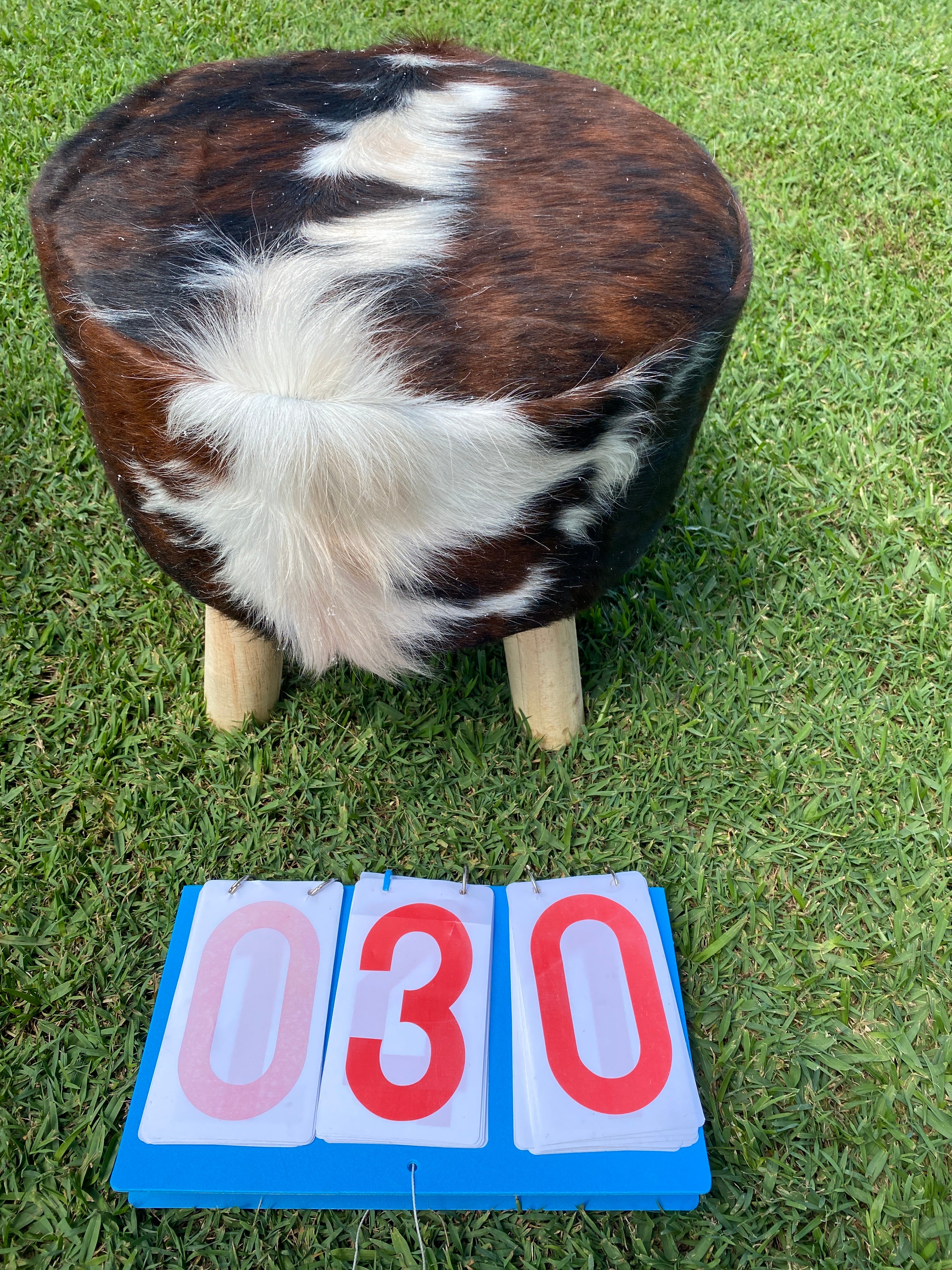 Cowhide Footstools