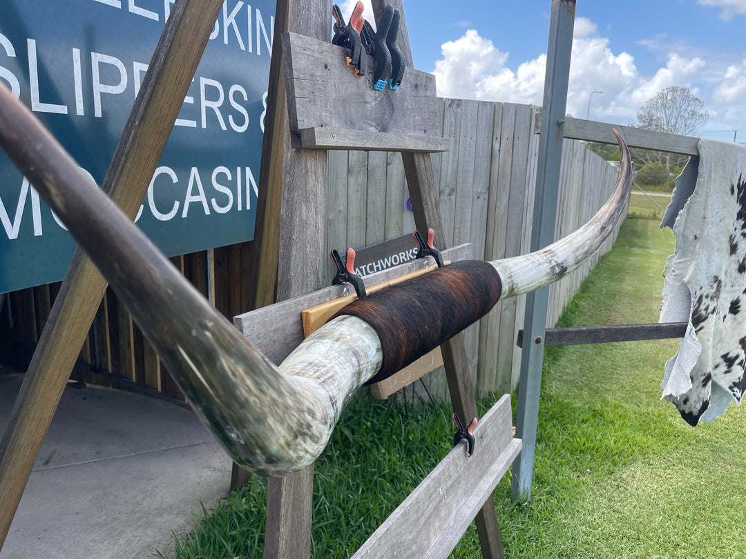 Mounted Cow Horns 28 (delivery extra on request)