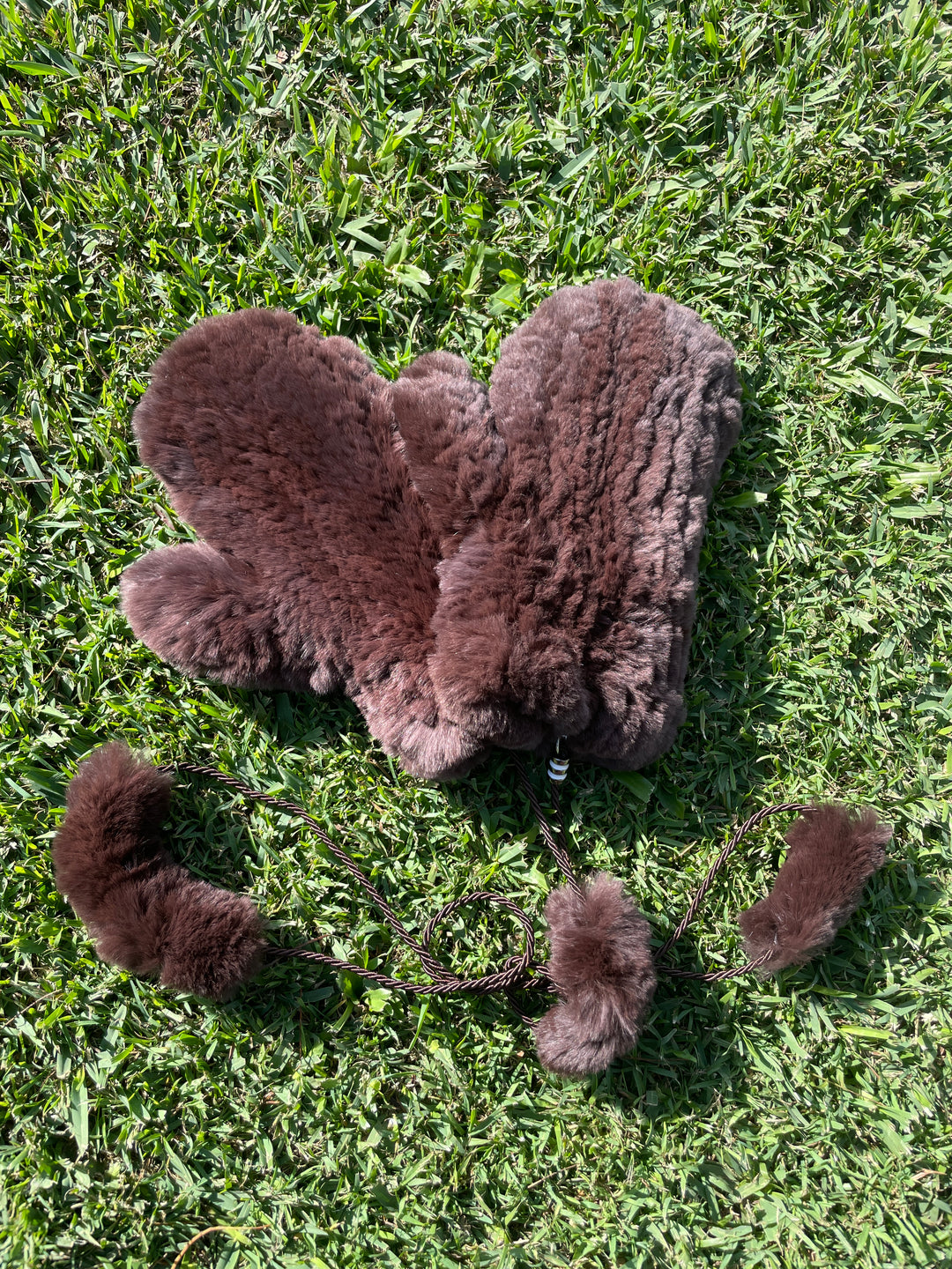 Mittens - Rex Rabbit