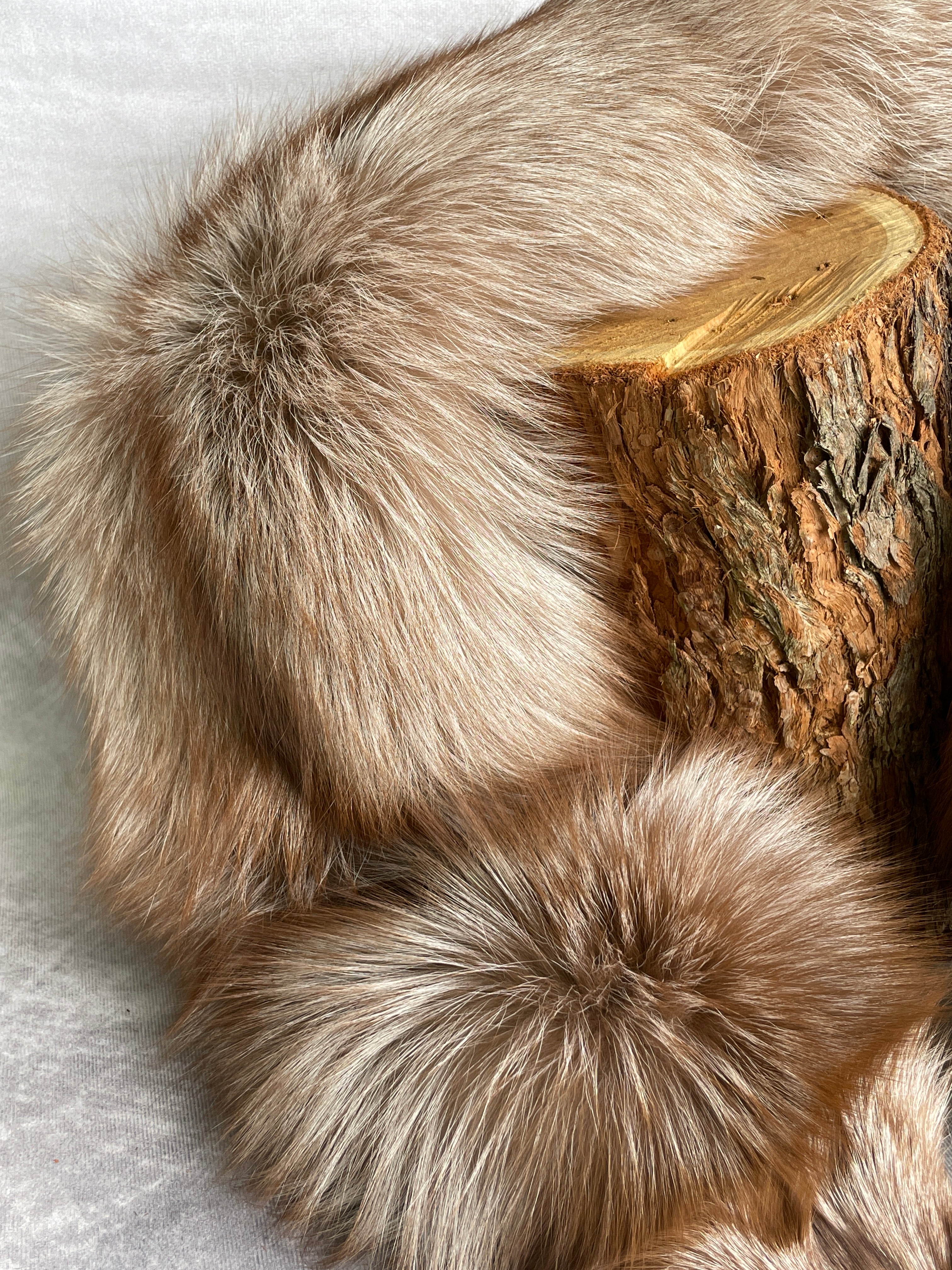 Specialty Skin - Fox Skins